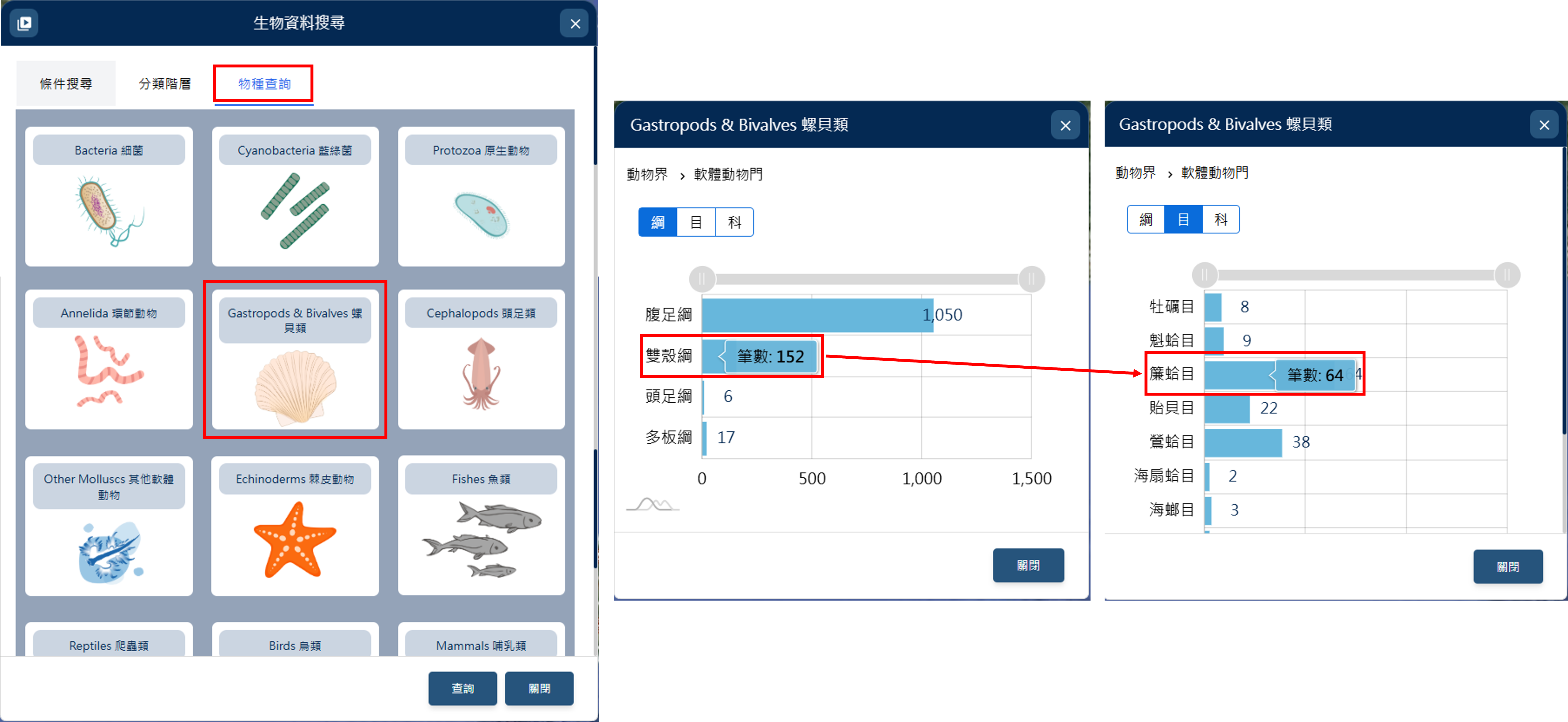 圖一、「物種查詢」功能顯示下一級分類階層